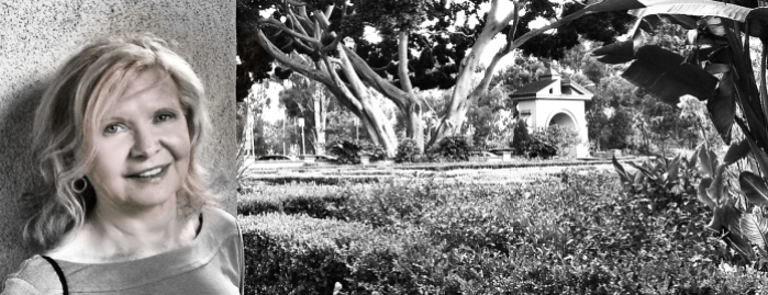 14 Balboa Park Tree_pp copy